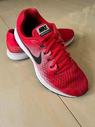 Zapatillas Nike Zoom Pegasus 34 Rojas