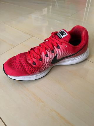 Zapatillas Nike Zoom Pegasus 34 Rojas