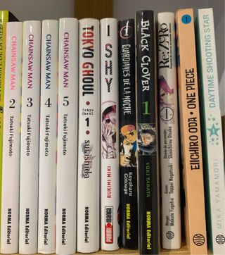 VENDO MANGAS Y LIBROS DE TEXTO.