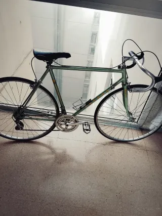 Bicicleta Clásica Verde