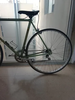 Bicicleta Clásica Verde