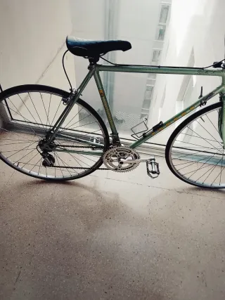 Bicicleta Clásica Verde