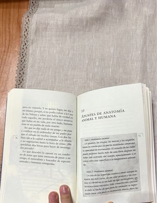 ¡Nadie es un zombi!