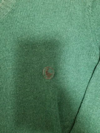 Jersey El Ganso Verde