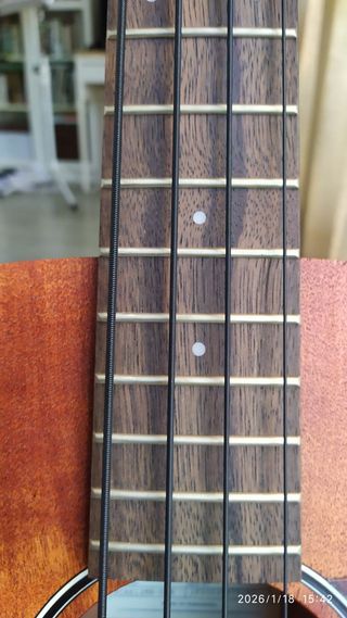 Bajo acústico Ibanez PCBE12MH-OPN