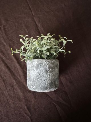 Set 4 Plantas Artificiales Decorativas