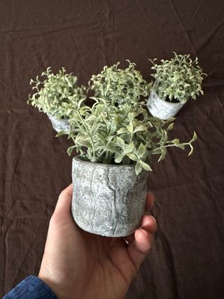 Set 4 Plantas Artificiales Decorativas