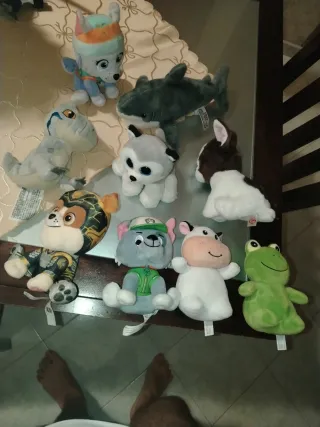 Peluche assortiti: cane, squalo, dinosauro, conigl