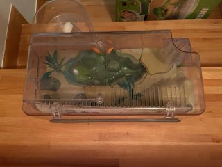 Insecticefa Kit Hábitat