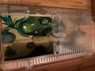 Insecticefa Kit Hábitat