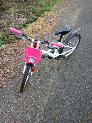 Bici niña 20 unicornio cesta rosa