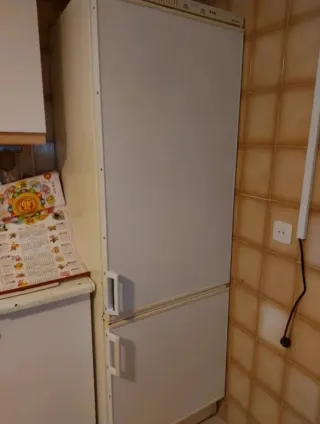 Nevera combi dos motores