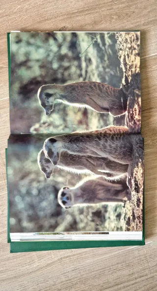 Due volumi I Mammiferi. Gli Animali.