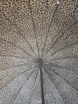 Paraguas automático estampado