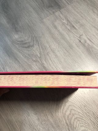 Un plan top secret (Karina & Marina 6)