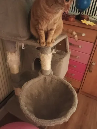 Rascador para gatos grande