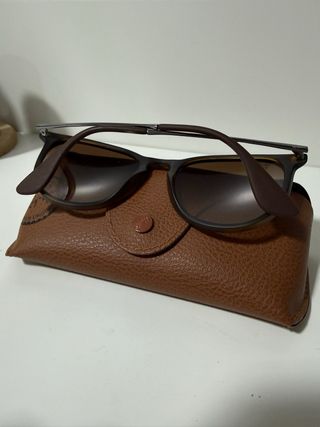 Gafas Ray-Ban Marrones Carey