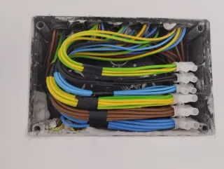 Estalador eléctrico