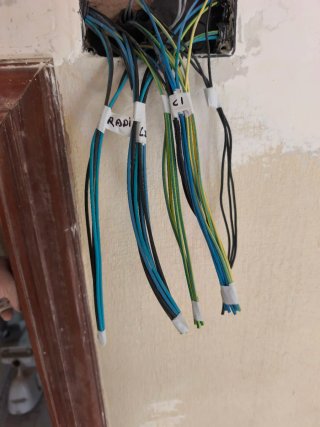 Estalador eléctrico