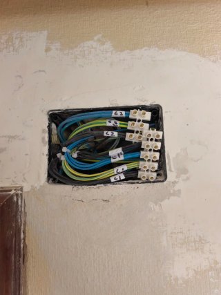Estalador eléctrico