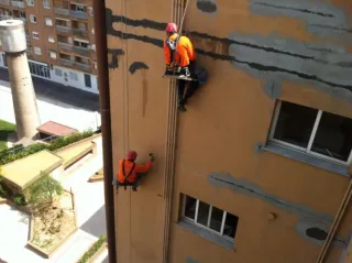 Servicios, reformas, pintura y jardinería