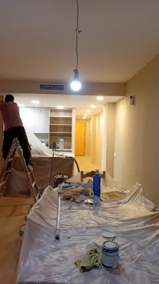 Pintor profesional....