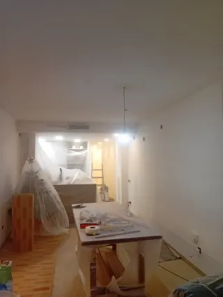 Pintor profesional....