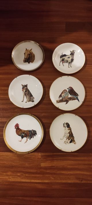 6 Platos Porcelana
