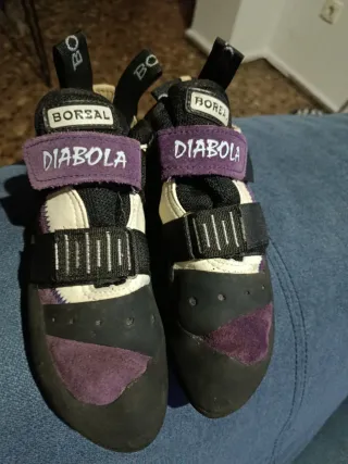 Pies de gato Boreal Diabola