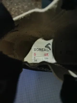 Pies de gato Boreal Diabola