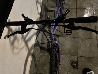 Bicicleta Montaña Mujer Morada