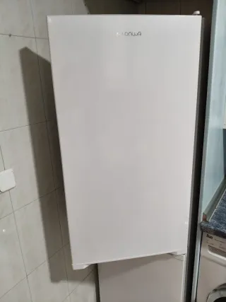 Nevera blanca. Se recoge en Toledo.