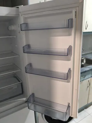 Nevera blanca. Se recoge en Toledo.