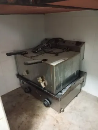 Freidora y Plancha Profesional