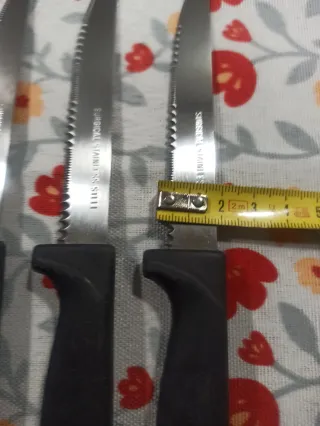 Set de 4 cuchillos de mesa Vivos