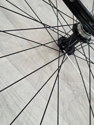 Rodas 29 Alexrims DC3.0 DTSC