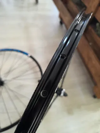 Rodas 29 Alexrims DC3.0 DTSC