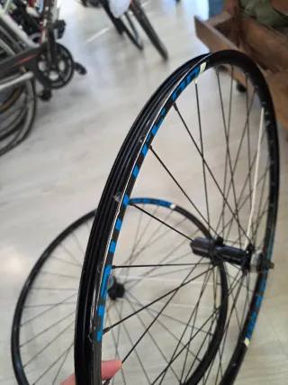 Rodas 29 Alexrims DC3.0 DTSC