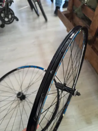 Rodas 29 Alexrims DC3.0 DTSC