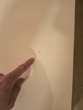 Tavolo da pranzo IKEA Ingatorp bianco