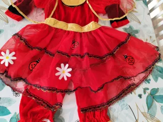 Vestito Carnevale Bambina Coccinella 4 Pezzi