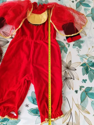 Vestito Carnevale Bambina Coccinella 4 Pezzi