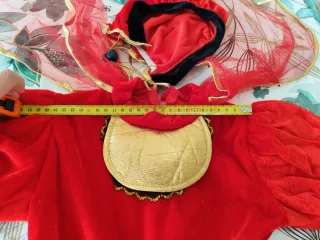 Vestito Carnevale Bambina Coccinella 4 Pezzi