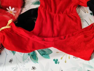 Vestito Carnevale Bambina Coccinella 4 Pezzi