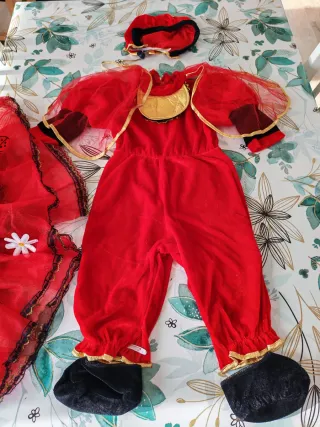 Vestito Carnevale Bambina Coccinella 4 Pezzi