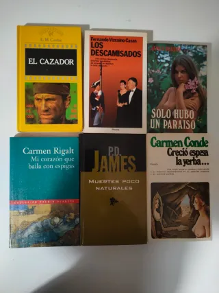 Lote de 15 libros por 5 euros (02)