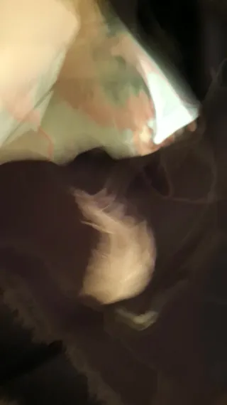 Cappotto lana misto acrilico blu taglia M