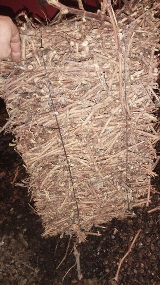 Gavillas de Sarmiento Alpacas de sarmiento..