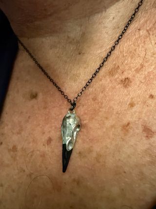 Anillo y Colgante gotico Calavera de Cuervo