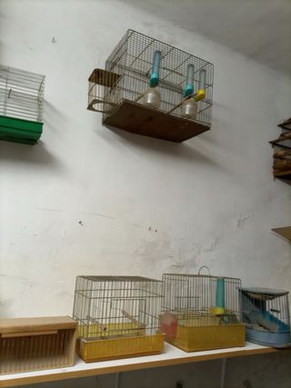 Jaulas para pájaros